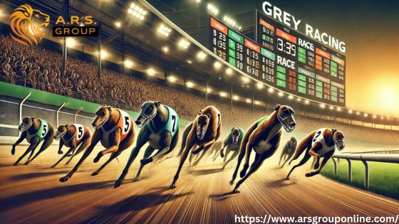 Greyhound Racing Predictions